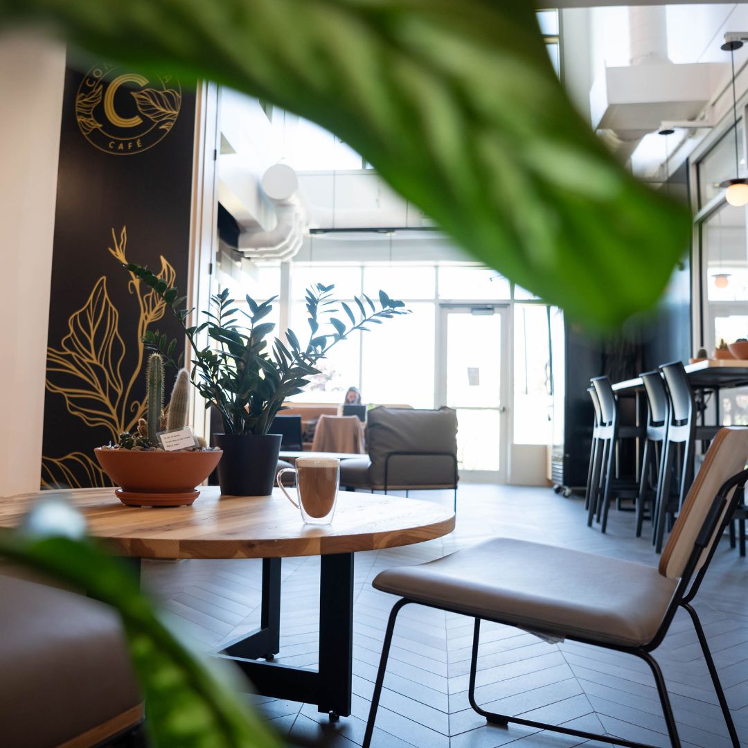 Salle lumineuse du Café Constantia — succursale La Bibliothèque avec plantes et latte sur table ronde